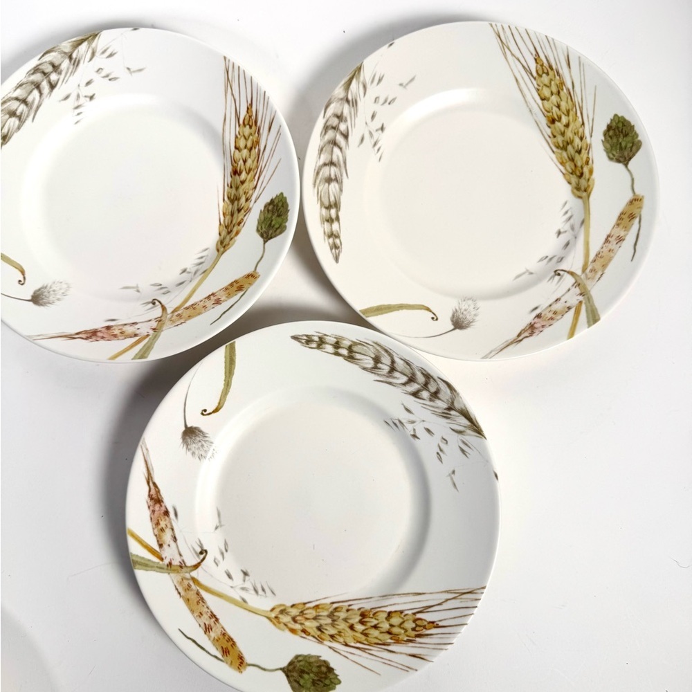 Pier One Salad Plates and Bowl - Picture 3 of 5